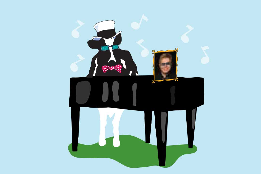 Kuen Woodie med et flygel og et bilde av Elton John